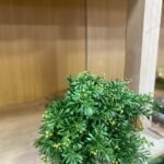 Artificial Flower In Clear Glass