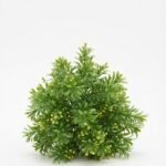Artificial flower arrangement in clear glass vase for elegant home décor in Lagos, Nigeria