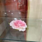 Lotus Flot .Crm/Nrj 20 Flotante Flower