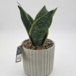 28cm artificial plant in pot decorative faux flower for home décor in Lagos, Nigeria