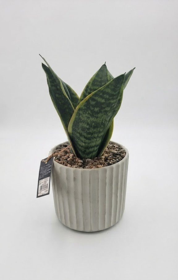 28cm artificial plant in pot decorative faux flower 28cm artificial plant in pot decorative faux flower for home décor in Lagos, Nigeria