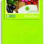 Evri Small Cutting Board
