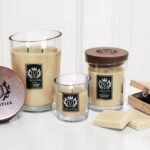 Vellutier Large Candle- Madagascar Adventure