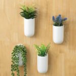10X22Cm Succulent In Wall Pot Flower