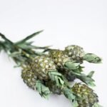 Pina Verdex1 Fruto Flower decorative fragrance item with tropical fruit-inspired design for home décor