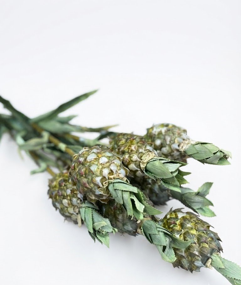 Pina Verdex1 Fruto Flower decorative fragrance Pina Verdex1 Fruto Flower decorative fragrance item with tropical fruit-inspired design for home décor
