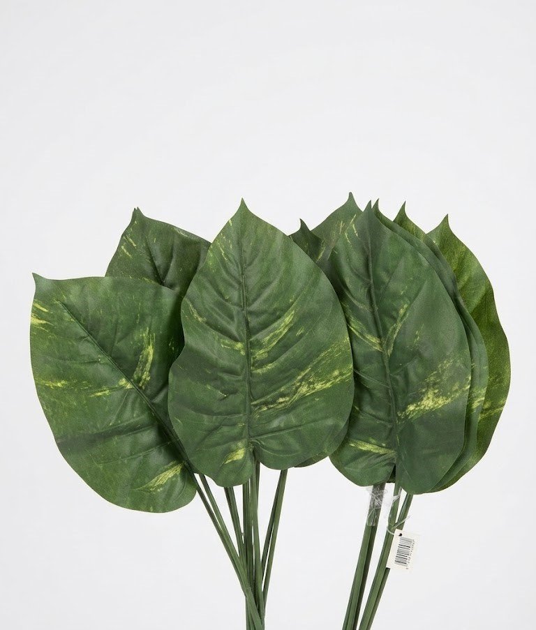 Lush green and white Pothos Variegata indoor plant Realistic green Cala Verde flower stem for modern interior styling and floral arrangements in Lagos, Nigeria