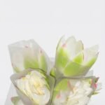Elegant 75cm Lotus Crema artificial flower stem for luxury home floral arrangements in Lagos, Nigeria