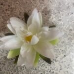 Lotus Crema Flotante 15Cm Flower