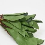 Realistic green Orquidea Verdex mini artificial orchid stem for tropical home décor in Lagos, Nigeria