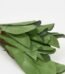 Realistic green Orquidea Verdex mini artificial orchid stem for tropical home décor in Lagos, Nigeria
