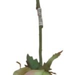 Rosa Mixed Fresh Flower