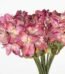 Realistic 14x65cm magenta Lilium Amazon artificial lily stem with green leaves for home décor in Lagos, Nigeria