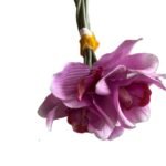 Cymbidium Lila Atado Violet Flower