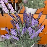Lavanda Lila 30Hx68Cm Flower