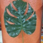 Philo Verde Evax Flower