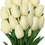 Tulipan Crema Nat Flower