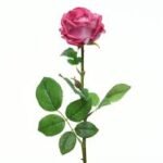 Silk Rose Open On Stem 66Cm- Fuchia