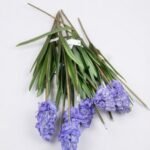 Artificial Muscari Crema Lila grape hyacinth stems with purple flowers and green leaves in Lagos, Nigeria