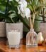 Large 350ml Gardenia reed diffuser in a glass bottle for luxury home fragrance in Lagos, Nigeria