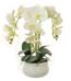 White phalaenopsis orchid artificial plant in cream pot for home décor in Lagos, Nigeria