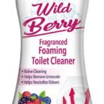 Foam Fresh With Wild Berry - 370G Toilet Cleaner