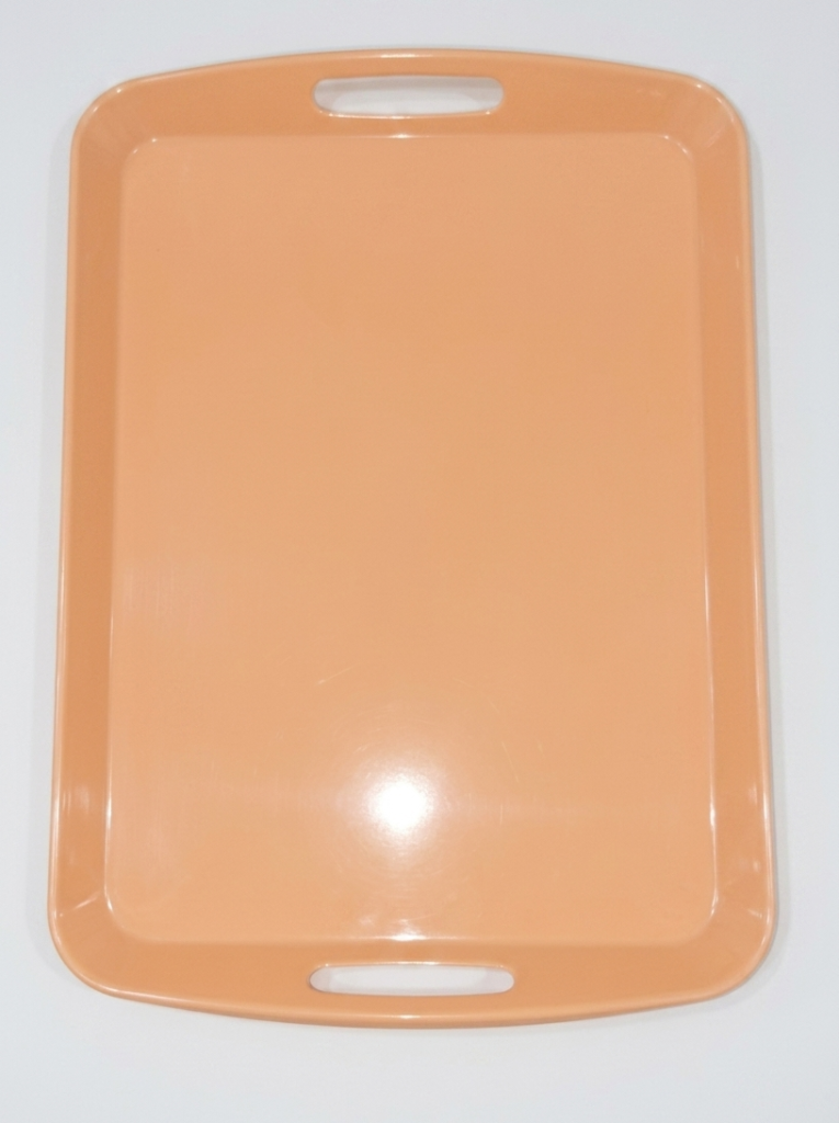 Small clear acrylic plastic serving tray