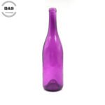 Cerise 52Cm Led Lighted Decorative Bottle With Stars