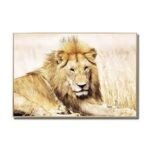 Golden Lion Glass Wall Art Picture 80 X 120 Cm