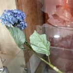 Blue/Lav.Hydrangea Flower