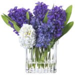Purple Hyacinth In. Glass Flower