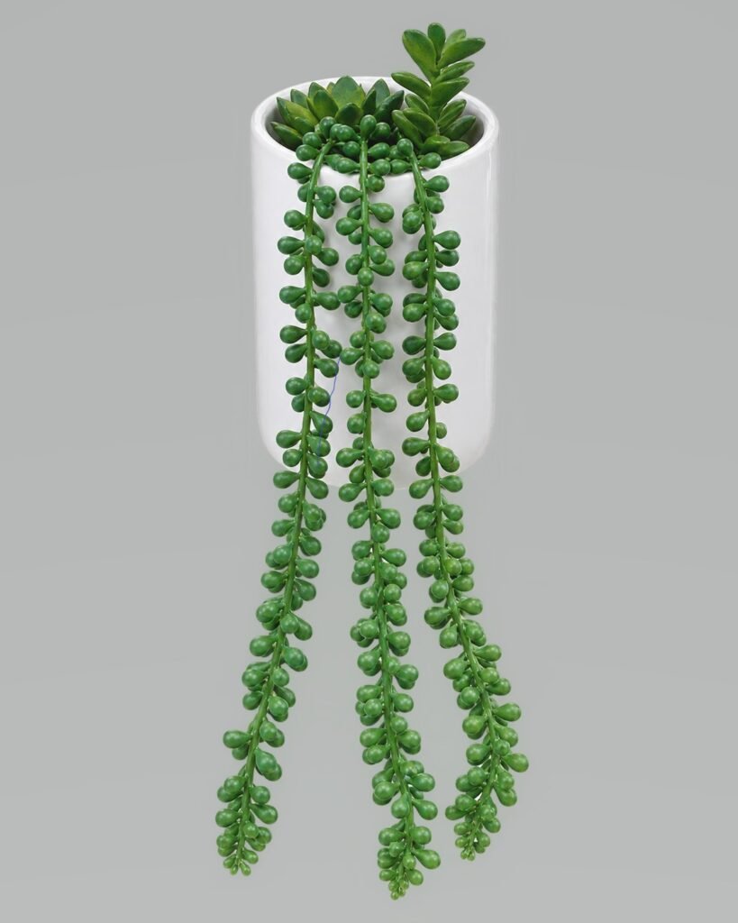 16x11 succulent wall decor with artificial green plants mounted panel for home wall styling in Lagos Nigeria modern decor