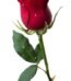 Realistic single artificial red rose stem with lifelike petals for home and gift decor in Lagos, Nigeria
