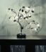 Brown crystal clear rose lamp LED table light for warm cozy décor in Lagos, Nigeria